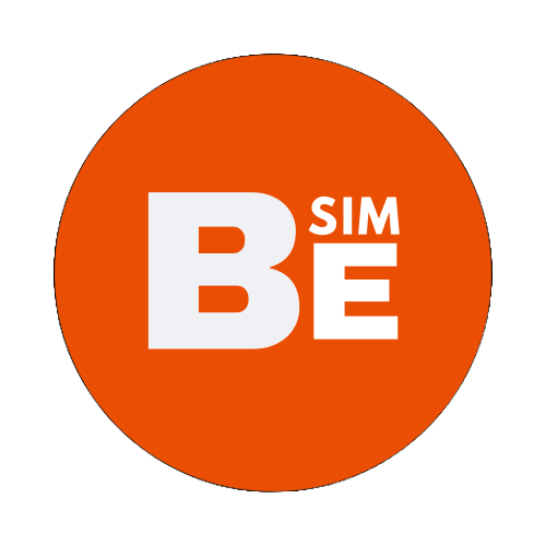 BESIM